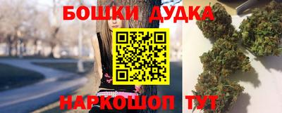 гашик Дубна