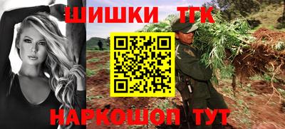 гашик Дубна